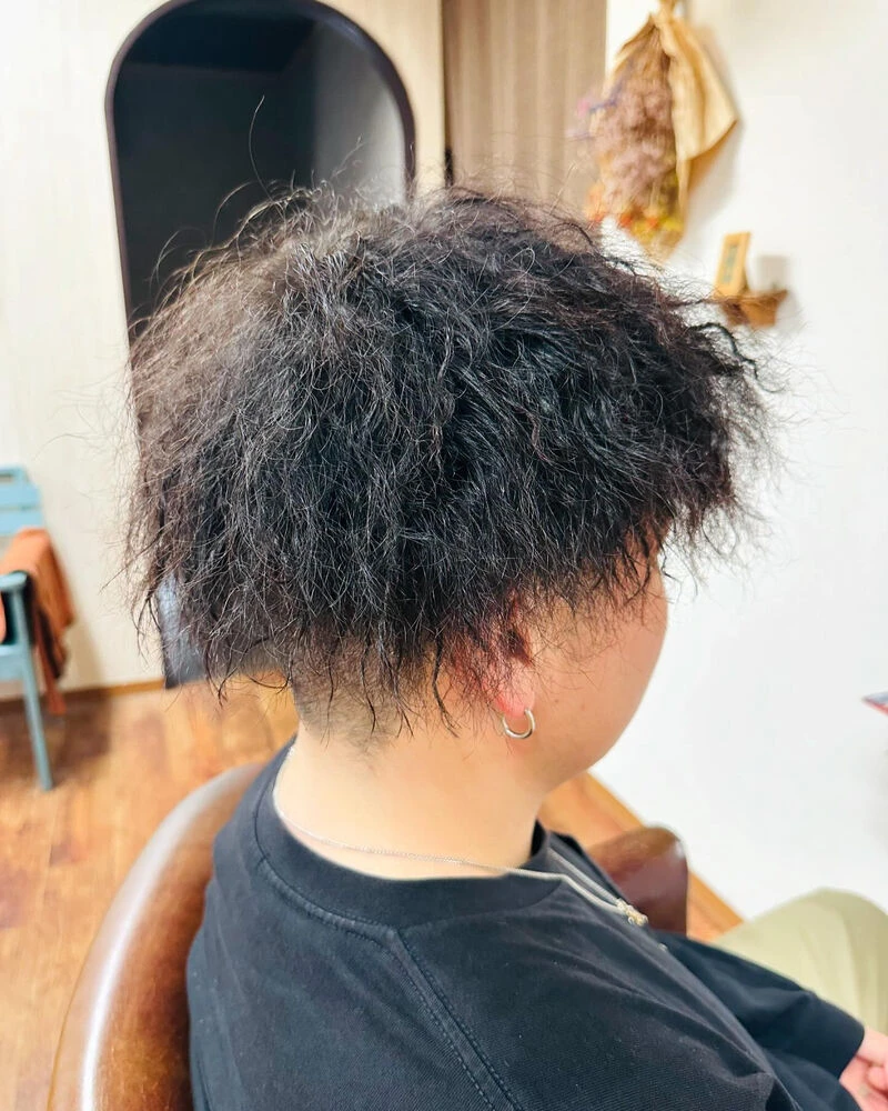 ブログ